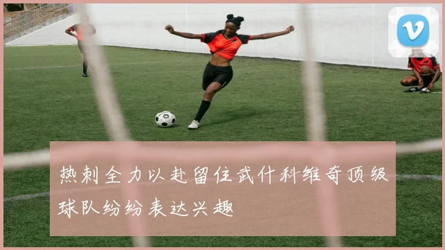 热刺全力以赴留住武什科维奇顶级球队纷纷表达兴趣